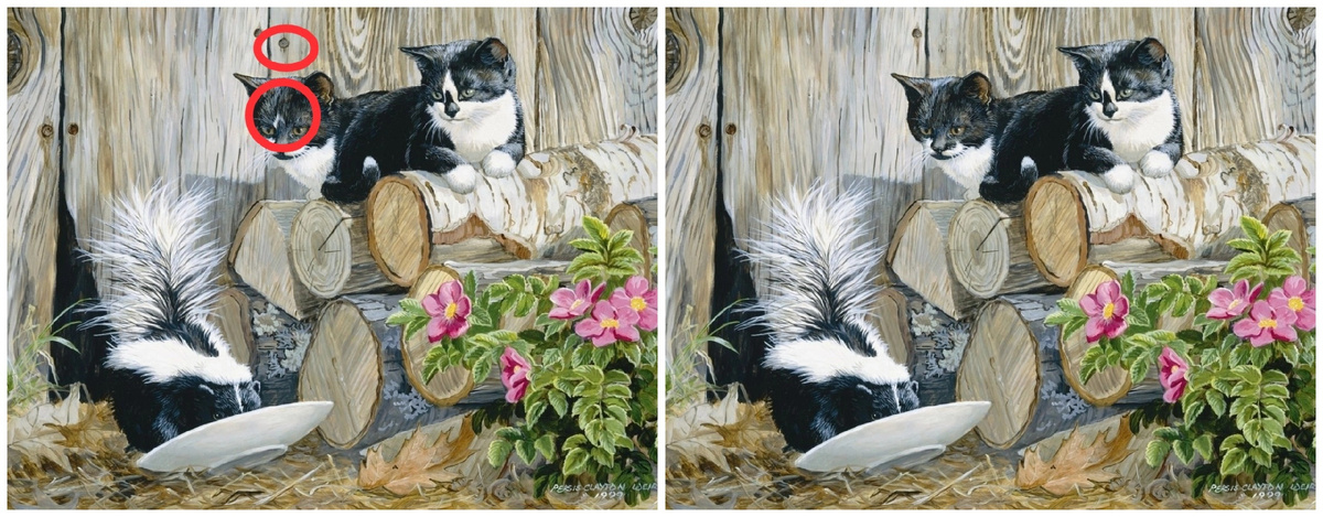 Ответ к 1 заданию