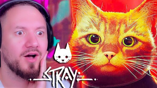 Я СТАЛ КОТОМ - STRAY 😺 КОШАЧИЙ КИБЕРПАНК 2022 ИГРА ПРО КОТИКА