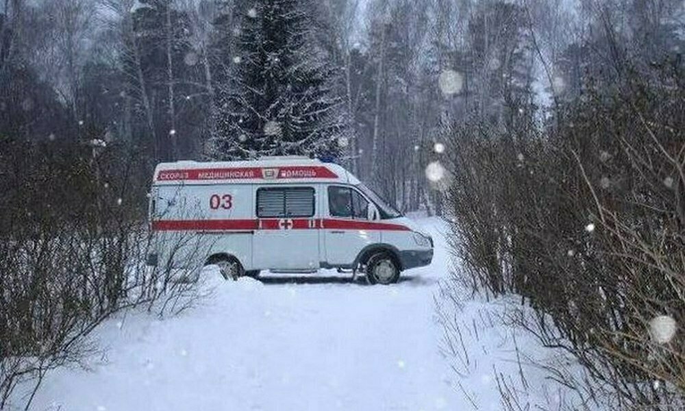 Фото Яндекс картинки свободный доступ 