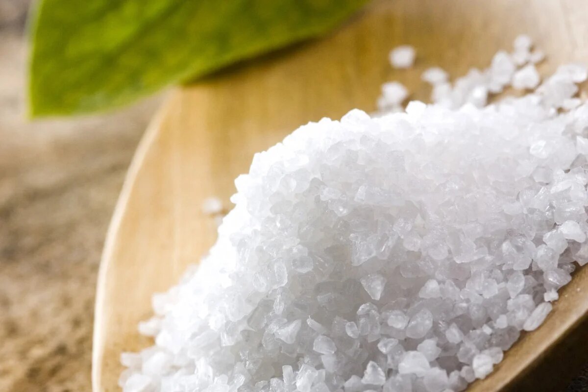 Изображение взято из открытых источников