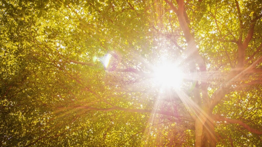 Солнце находится в покое. Фото: pxhere.com