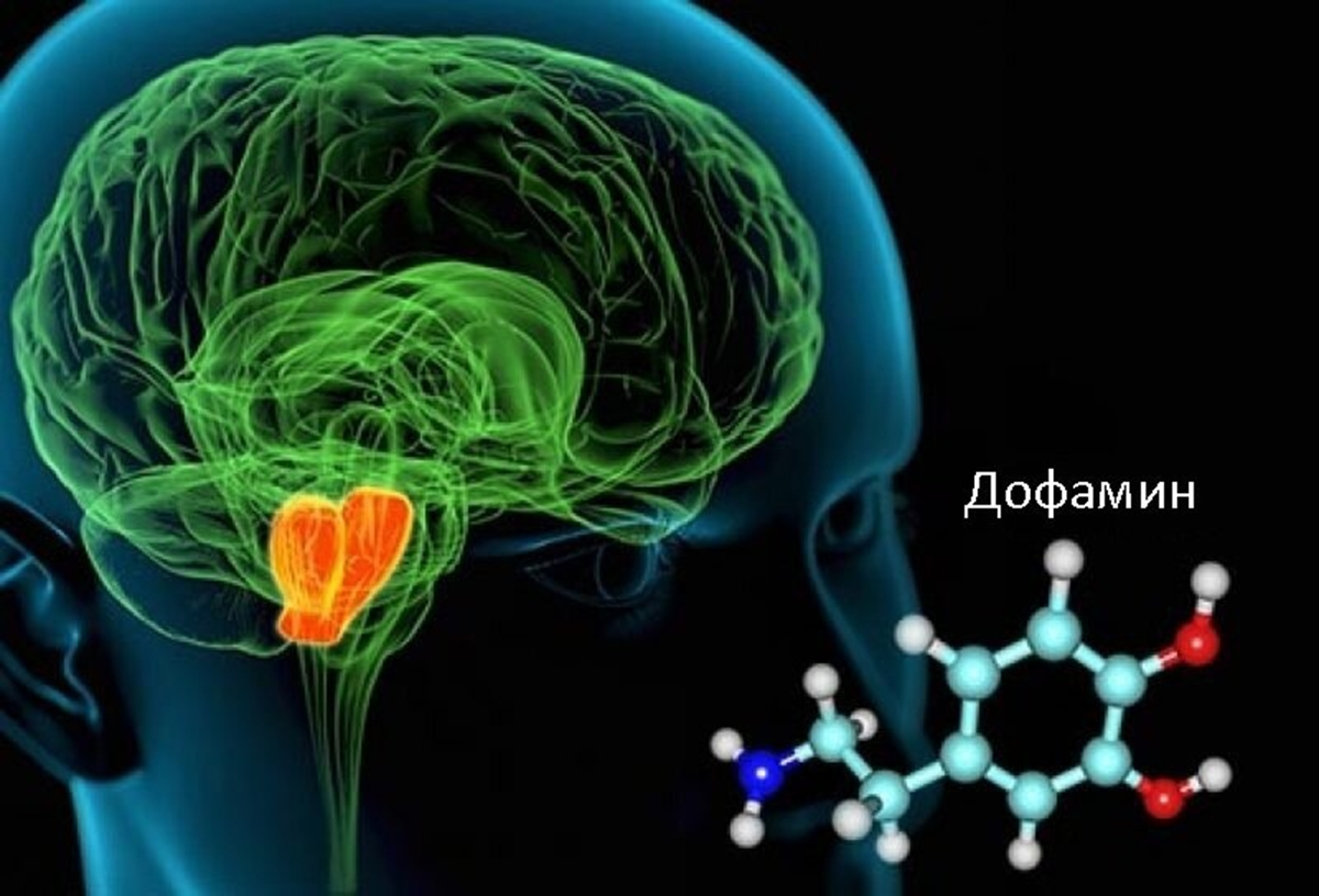 Уровень дофамина: как вернуть себе настоящее удовольствие. | проКачайся |  Дзен