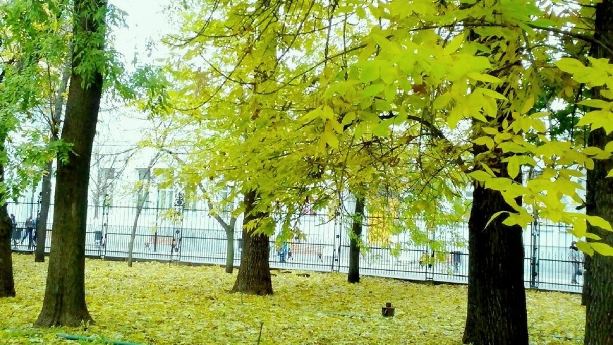    В Вольске городской парк закрыли на корпоратив в выходной деньНовости Саратова и области – Сетевое издание «Репортер64»