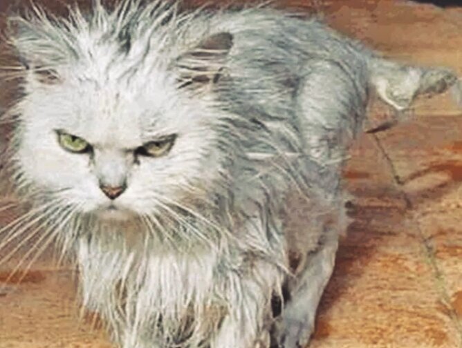 Но это не точно:(