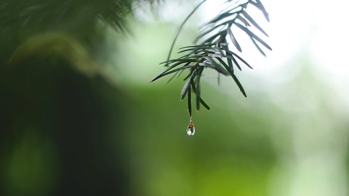    Фото: unsplash.com. Август Макаров