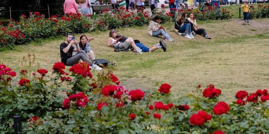    Синоптик Колесов рассказал, какая погода будет в Петербурге в первую неделю осени.Алена Бобрович