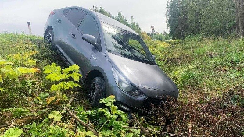     Притом, сделал это пьяным, поехал в другую сторону и свалился в кювет.