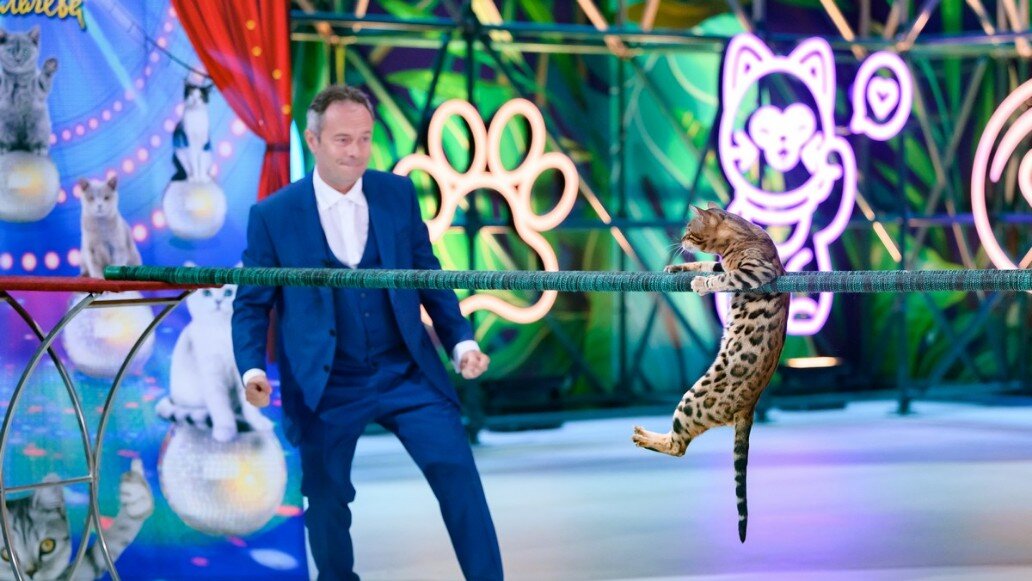 Шоу в кругу друзей шепелев. Шепелев. Шоу в кругу друзей шепелев. Шоу в кругу друзей шепелев. Шоу в кругу друзей шепелев.