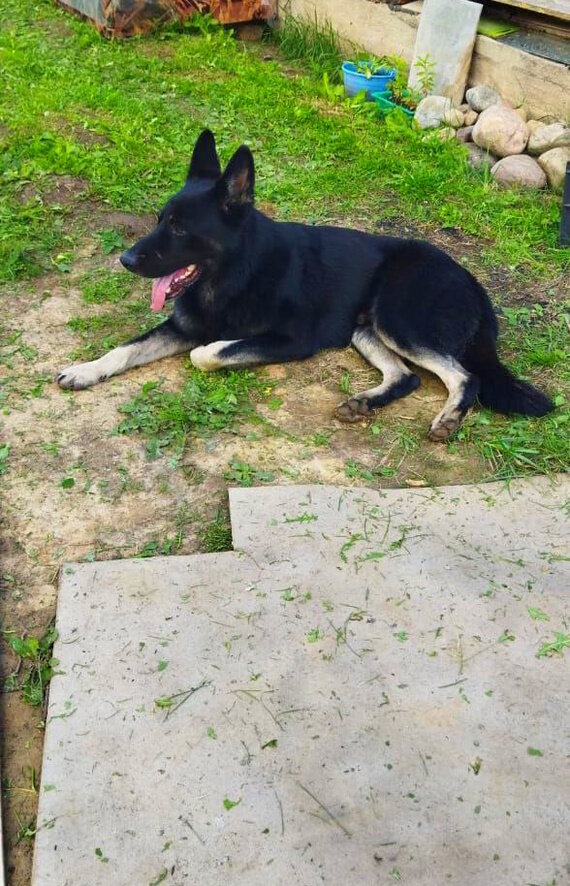 Листайте вправо, чтобы увидеть больше изображений