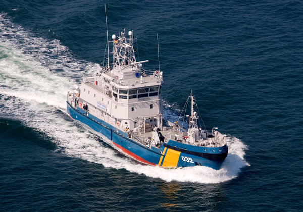    У шведских пограничников украли необычные перчатки