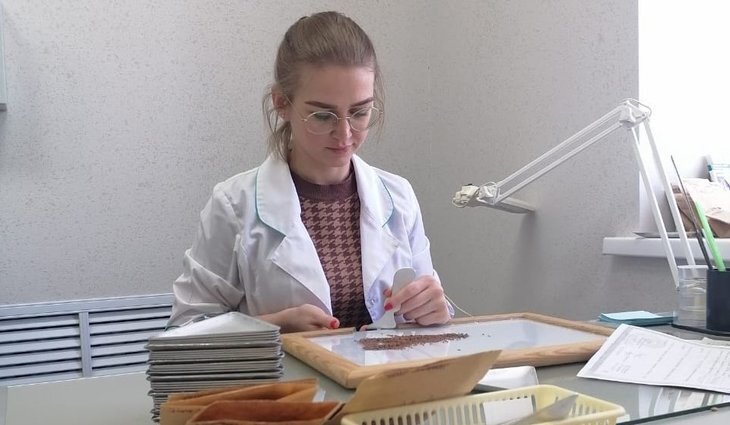    Первый в мире озимый лен российской селекции Снегурок посеют на Ставрополье