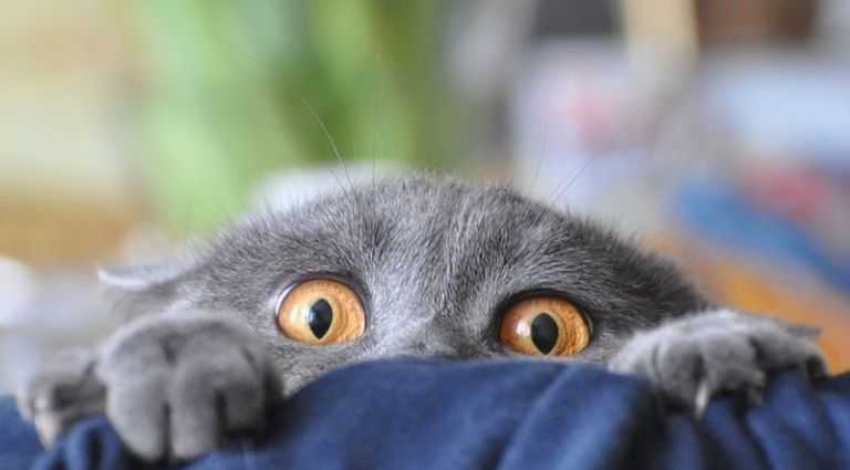 Страшно, аж жуть)))