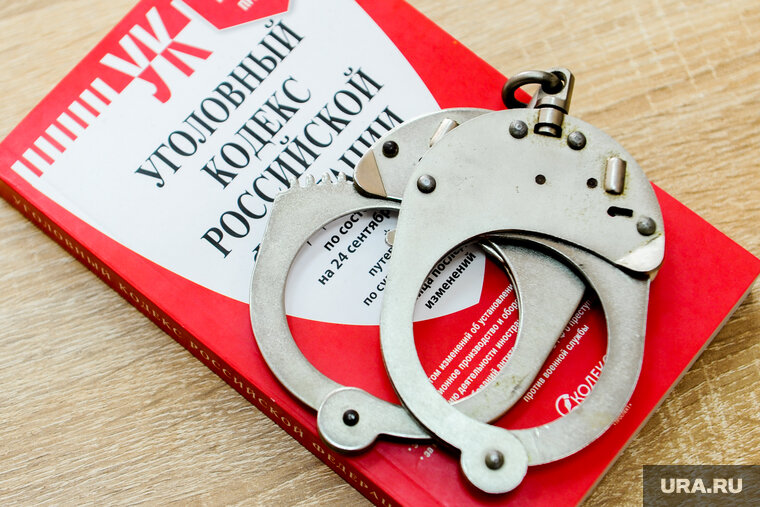    Омбудсмен Титов заметил, что проверок предпринимателей стало меньше, зато уголовных дел по ним больше