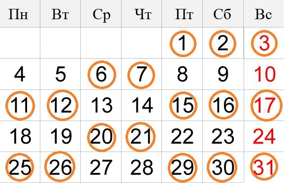 Примерно так выглядит мой график, в кружки я взял выходные дни, то есть те дни, когда я могу проводить занятия.