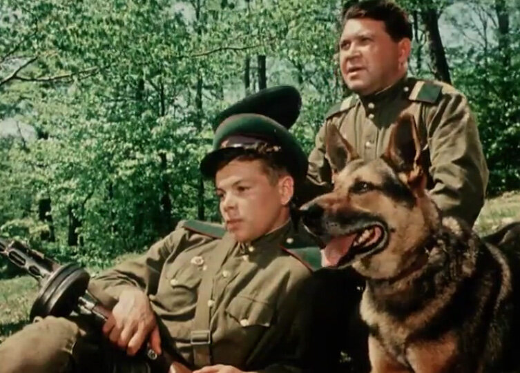 Фото: m.kino-teatr.ru "Над Тиссой"