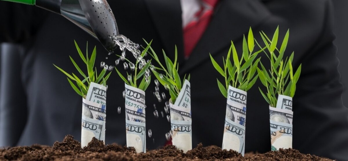 яндекс картинки