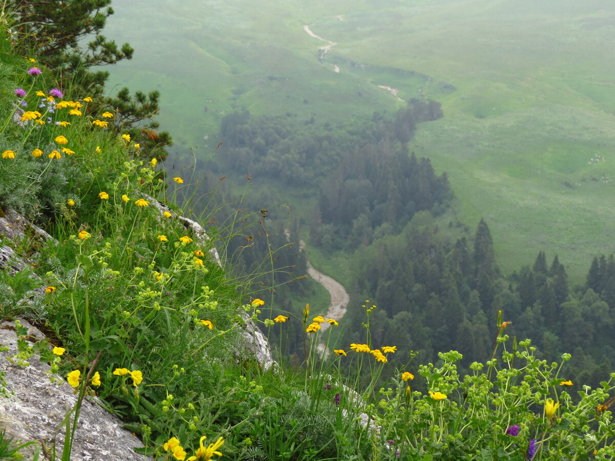 Плато Лаго Наки Адыгея осень