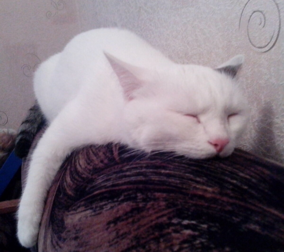 Фото из личного архива