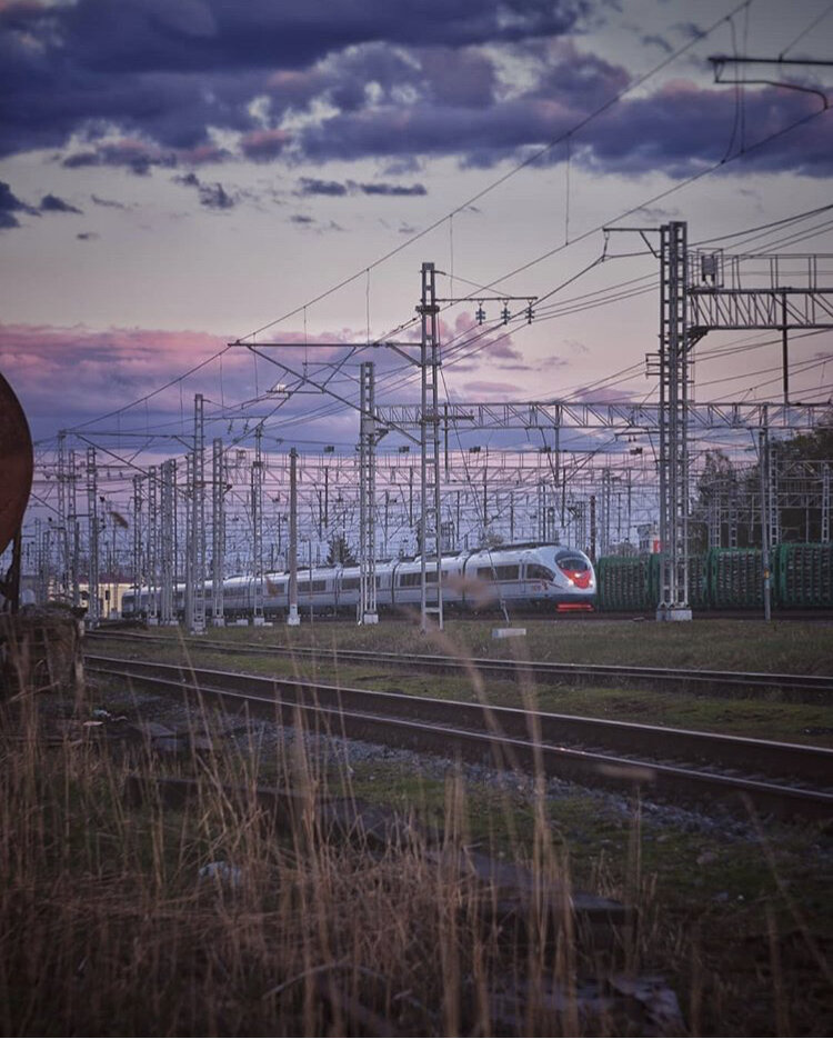 Фото: https://instagram.com/sapsan_rzd