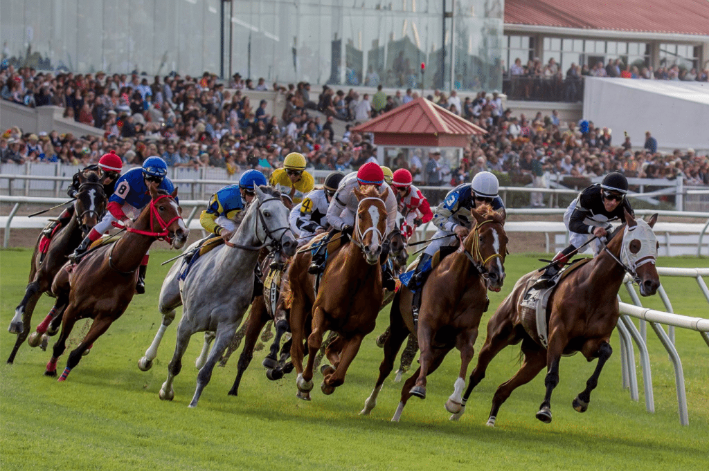 Racing Melbourne