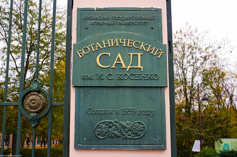 Фото с сайта fb.ru