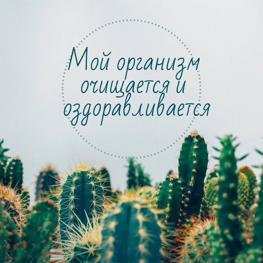 Перед тем, как выпить воду