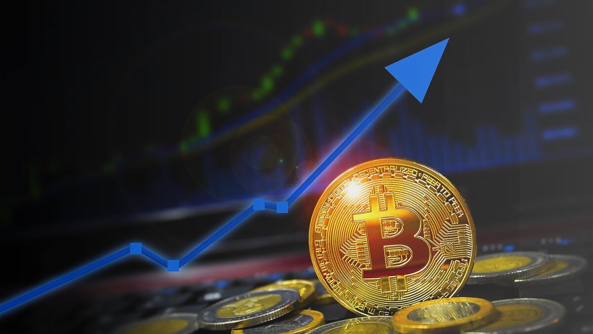 Картинка из источника: https://yandex.ru/images/search