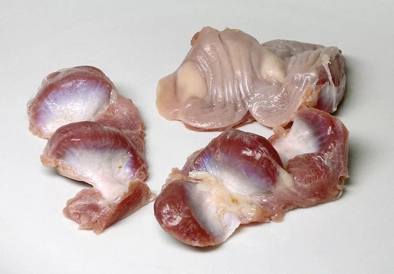 Куриные желудки в сметане на сковороде, пошаговый рецепт с фото на ккал