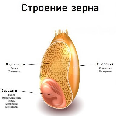 Источник: Яндекс.картинки