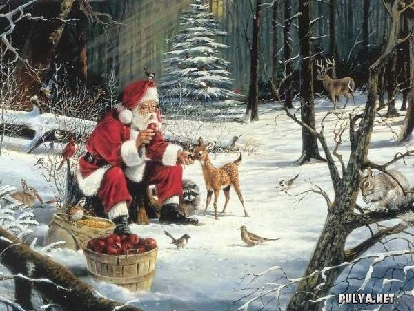 Существует много легенд о Рождественской елке, связанных с духом или местом, где обитал дух, а также — с легендами о Древе Жизни и Древе познания Добра и Зла.
