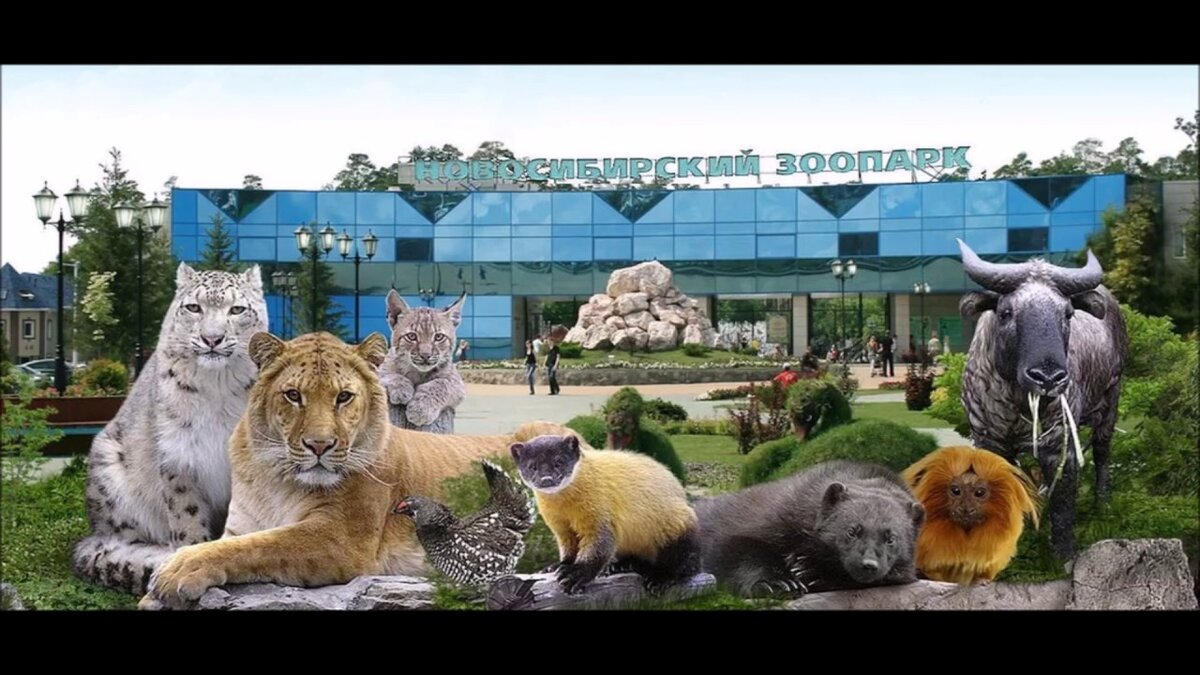 екатеринбург вход в зоопарк