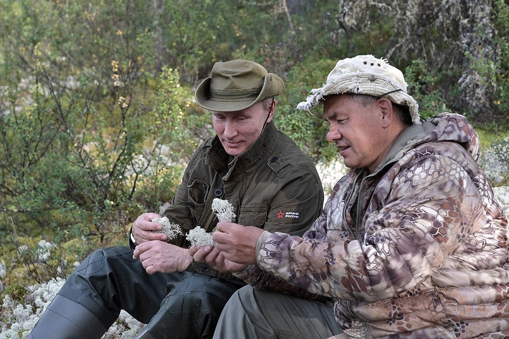 Фотография заимствована из свободных источников сети Интернет