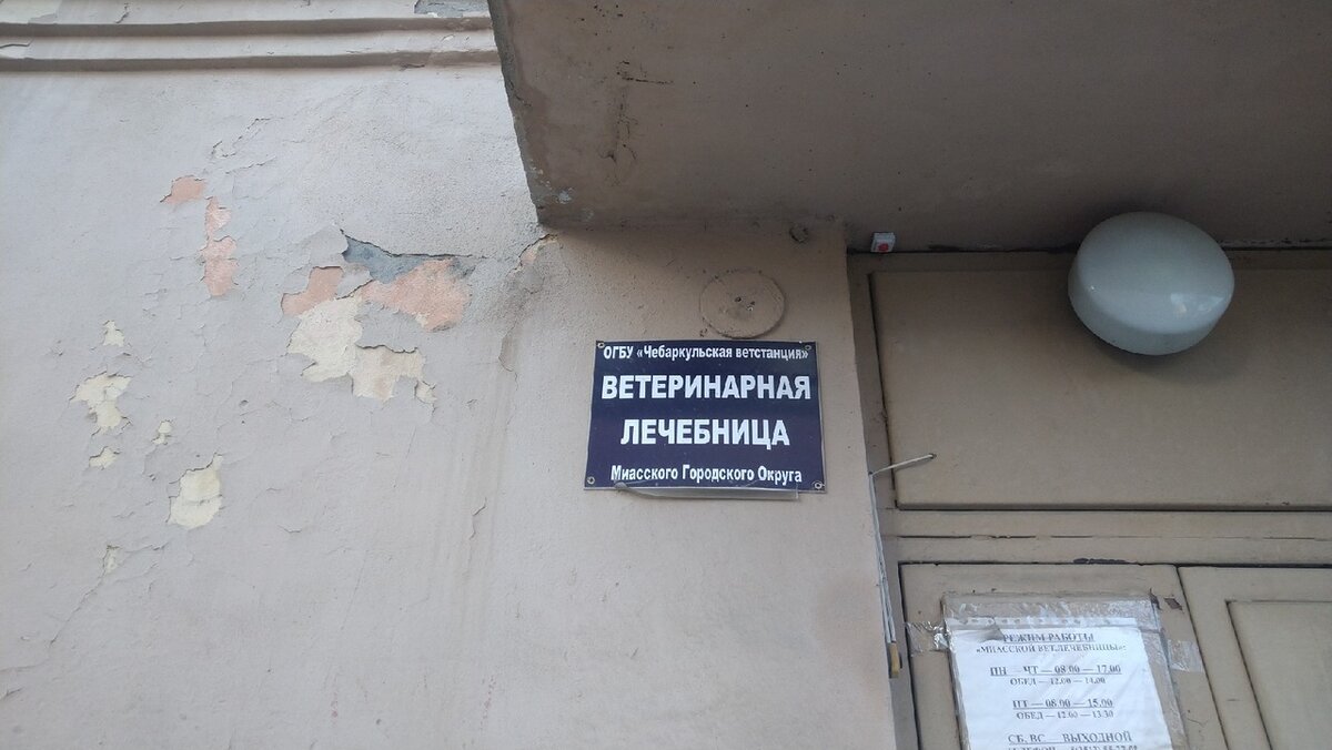 Миасс Ветеринарная лечебница ФГБУ "Чебаркульская ветстанция"