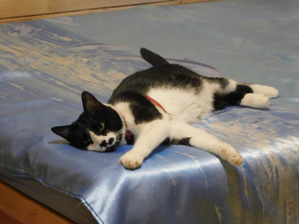 Любовь помогает принять недостатки и справиться с трудностями. 