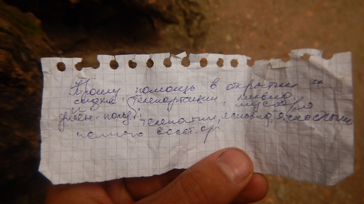 Записка из почтового дуба