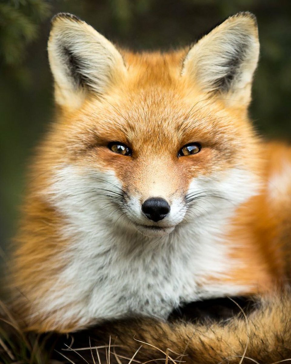 Источник фото: Яндекс картинки