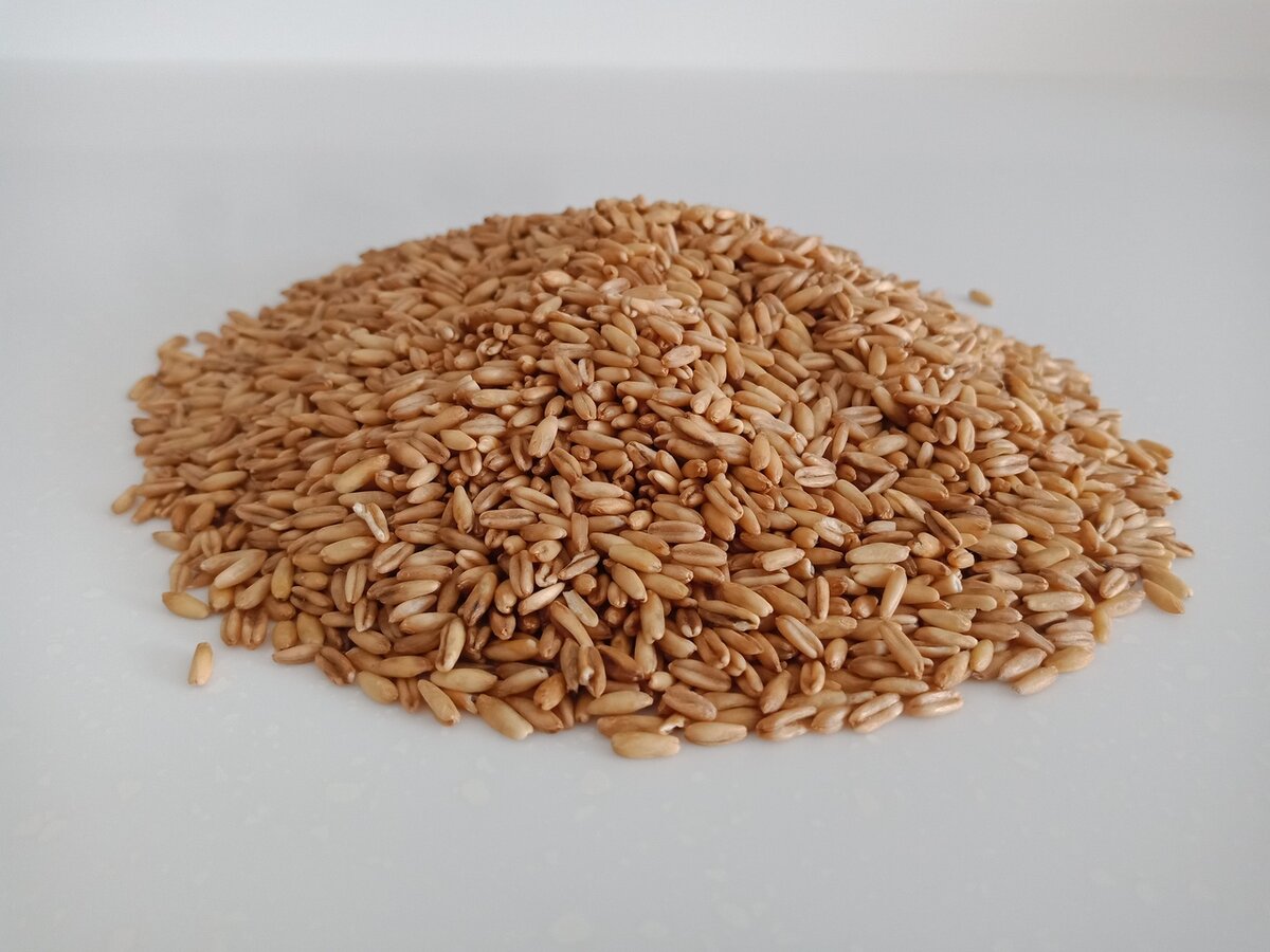 Картинка из интернета. Крупа овсяная.