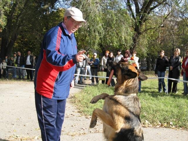 Светлана Пинчук и немецкая овчарка - Пиша