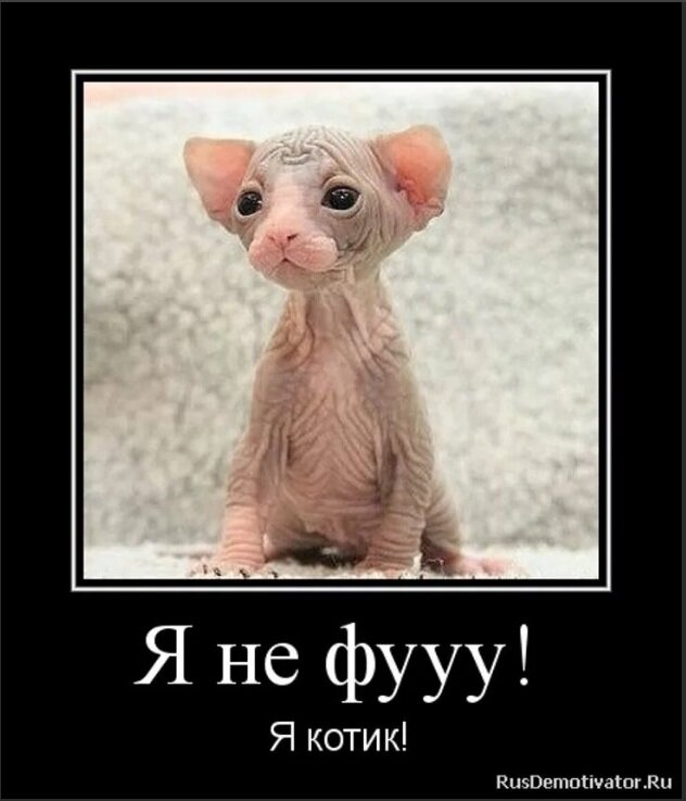 Иллюстрация с сайта: https://yandex.kz/collections/user/svetlan35/kotiki-lozhkin/