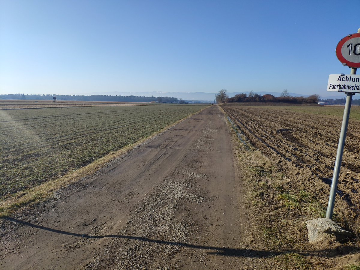 Источник: Твиттер @kostyalesik