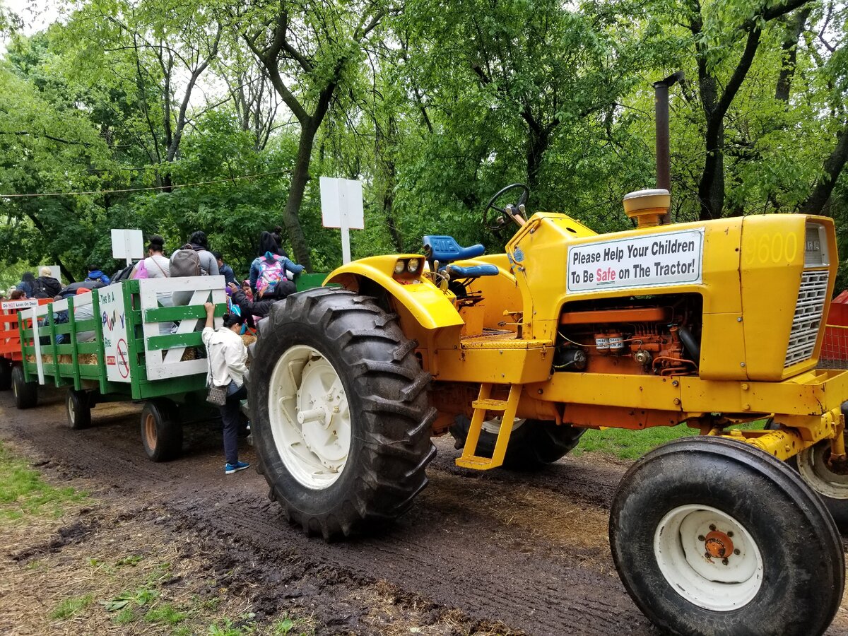 Нью-Йорк. Queens. Green  Meadows Farm. Фото автора.