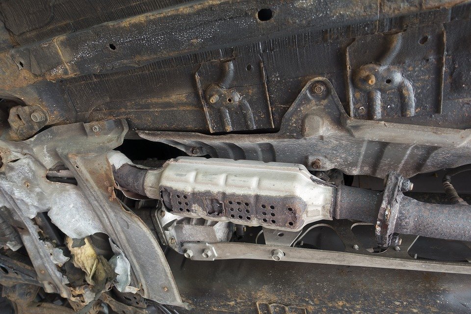 Фото для статьи любезно предоставлено pixabay.com