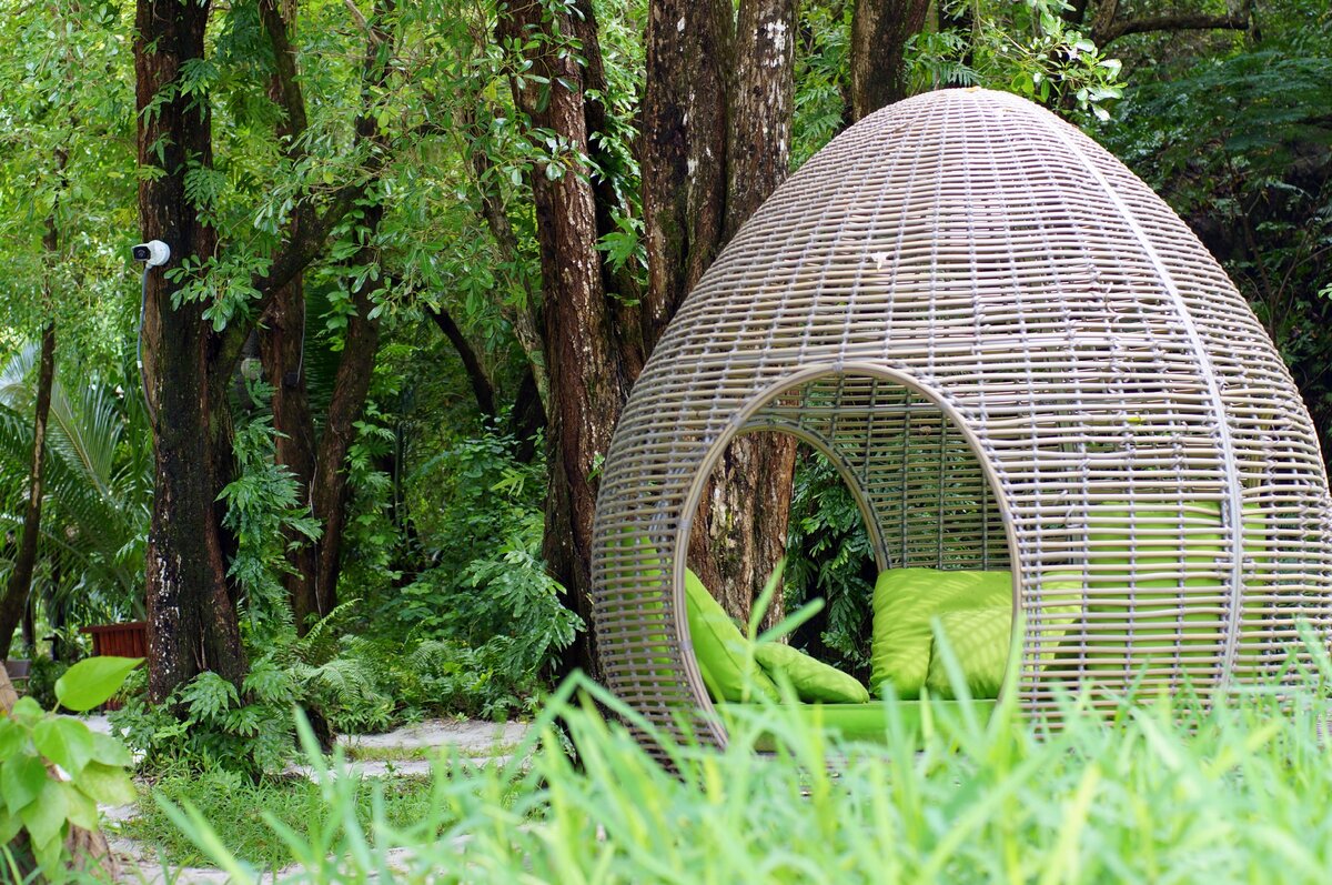 Фото автора. Сейшелы, остров Маэ.