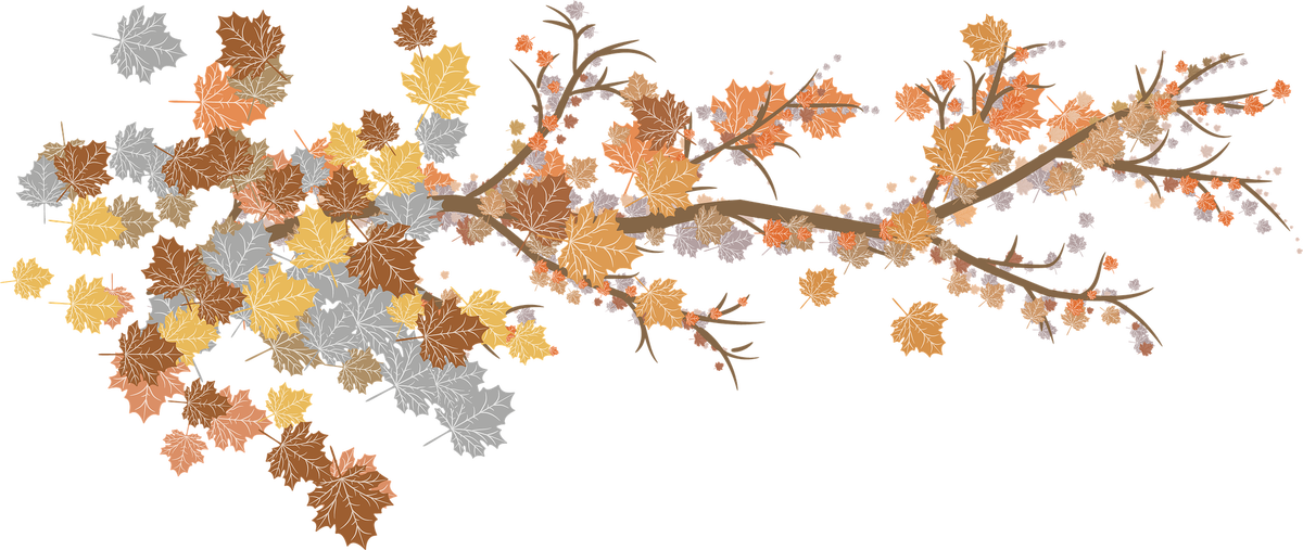 by by Susana Gonzalez from Pixabay