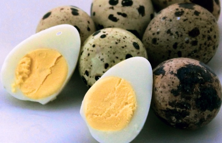 Маленькие перепелиные яйца содержат огромное количество полезных микроэлементов