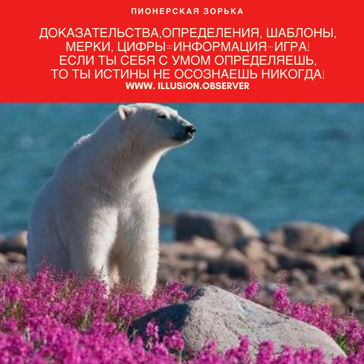 Белый медведь с цветами