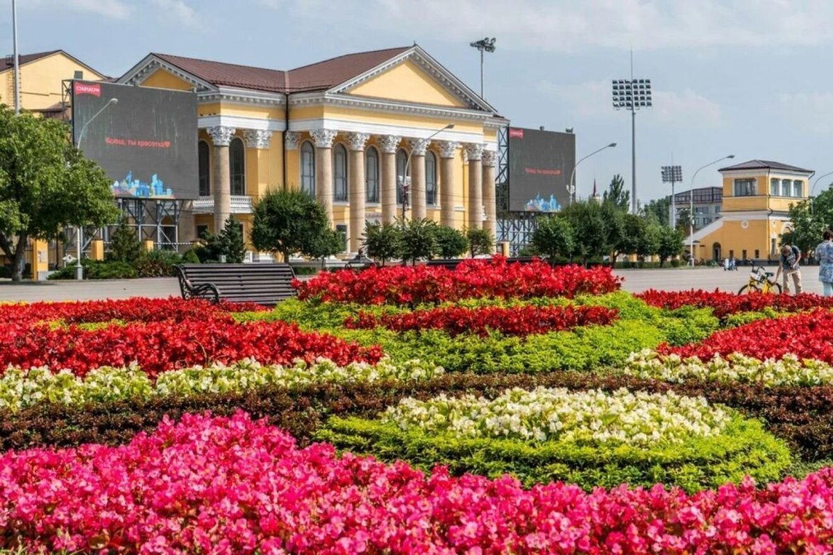 Фото с Яндекса картинки.