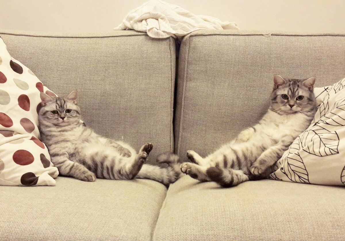 так бывает)