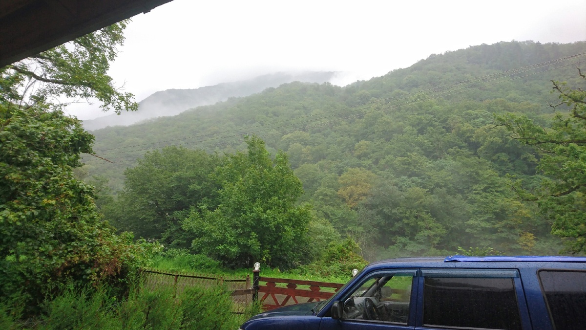 Фото на одной из остановок