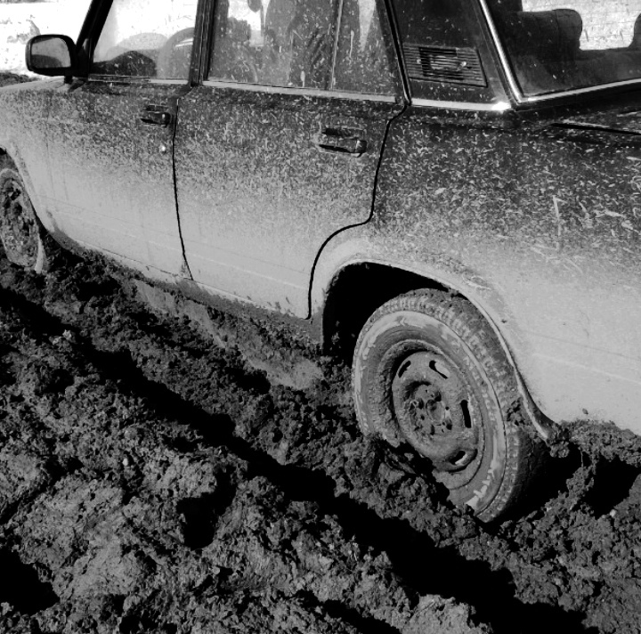 Фото из личного архива (лето, 2019г).